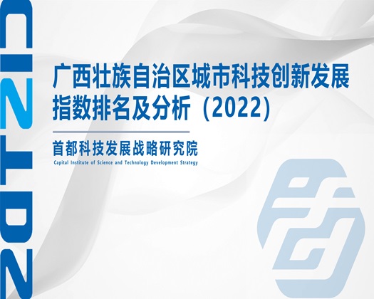 黄片免费观看大鸡巴操小粉逼【成果发布】广西壮族自治区城市科技创新发展指数排名及分析（2022）